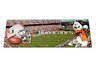 Miami Tailgate Party Rug