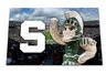 Michigan State Door Mate
