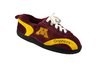 Minnesota Golden Gophers All Around