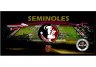 Florida State Seminoles 9.5