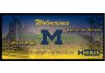Michigan Wolverines 9.5