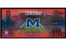 Mississippi State Bulldogs 9.5 x 21.5 Mini Photoramic Logo Wall Hanging- Horizontal