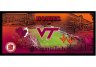 Virginia Tech Hokies 9.5