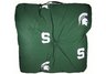 Michigan State Floor Pillow