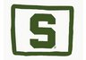Michigan State Pillow Sham