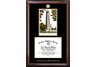 North Carolina State University Gold embossed frame with limited edition lithograph