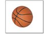 5" Mini Basketball