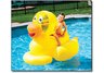 GIANT DUCKY