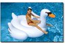 GIANT SWAN