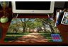 Ole Miss Grove with Logo Deskpad