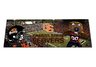 Oregon State Tailgate Party Rug