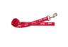 Small  Lead- 5/8 inch x 4 foot  University of Arkansas