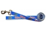 Small  Lead- 5/8 inch x 4 foot  University of Florida