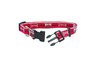 Small  Collar- 5/8 inch University of Arkansas