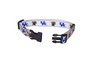 Small  Collar- 5/8 inch University of Kentucky