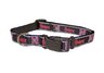 Small  Collar- 5/8 inch University of Nebraska