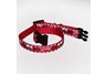 Cat Safety Collar 3/8 inch University of Arkansas
