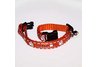 Cat Safety Collar 3/8 inch Clemson University