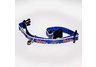 Cat Safety Collar 3/8 inch University of Florida