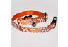 Cat Safety Collar 3/8 inch University of Tennessee