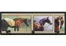 Horses Snapshots Peg Board