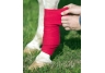 Equestrian Equipment
