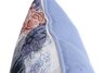 16 x 16 Designer Porcelain Blue Pillow Cording