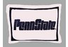 Penn Sate Pillow Sham