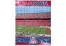 Arizona Wildcats 550 piece Puzzel set 18