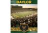 Baylor Bears 550 piece Puzzel set 18
