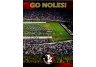 Florida State Seminoles 550 piece Puzzel set 18