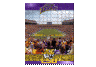Louisiana State Tigers 550 piece Puzzel set 18