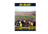 Michigan Wolverines 550 piece Puzzel set 18