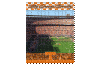 Tennessee Volunteers 550 piece Puzzel set 18