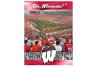 Wisconsin Badgers 550 piece Puzzel set 18