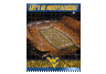 West Virginia Mountaineers 550 piece Puzzel set 18