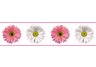 Flower Power Peel & Stick Border