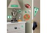Michigan State University Peel & Stick Wall Decals