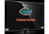 RTC View University of Florida 22