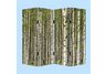 Prolific Forrest Reversible Screen