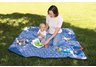 blanket totes, tote blankets, portable blankets, picnic blankets, fleece blankets