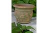 Small Goldfish Planter