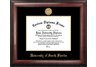 South Florida Bulls Gold Embossed Diploma Frame