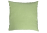 Sunbrella Gingko Throw Pillow