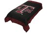 Texas A&M Panel Comforter Full