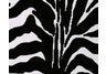 Tassajara Zebra