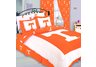 Tennessee Bed in Bag Full