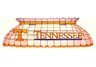 Tennessee Pool Table Lamp