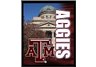 Texas A & M Aggies 8 x 10 Building Design Wall Hanging