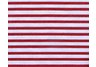 Tic Stripe Holiday